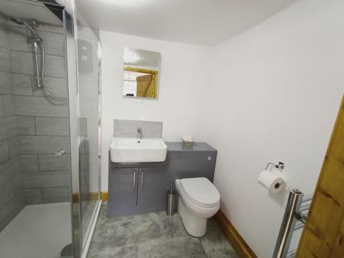 a bathroom with a toilet and a sink and a shower at The Harp Inn in Glasbury