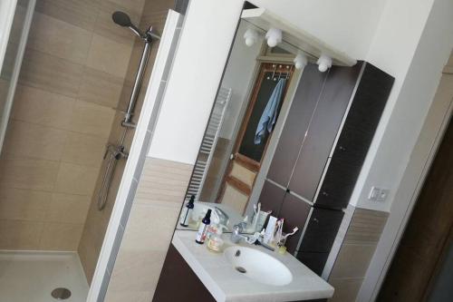 a bathroom with a sink and a shower and a mirror at Superbe logement dans une maison de caractère in Toul