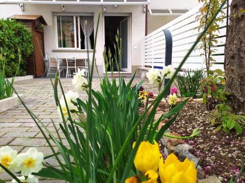 BHH BOLOGNA HOLIDAY HOME private Garden Reserved Parking -wwwbolognaholidayhomecom- house garden parking photo 20