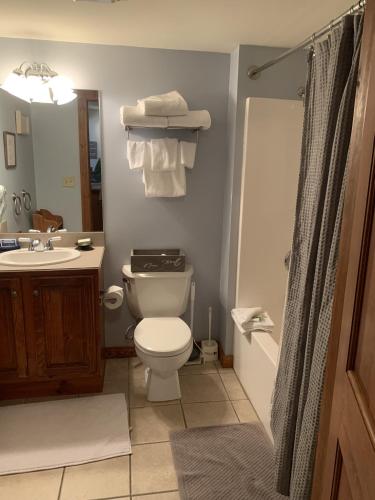 a bathroom with a toilet and a sink and a shower at Highland House 207 Slopeside, Village Area, Ski in out in Snowshoe