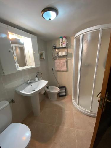 a bathroom with a sink and a shower and a toilet at Casa del Carabinero in Fermoselle