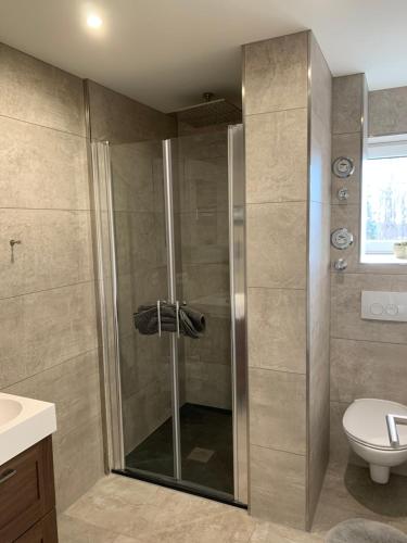a shower with a glass door in a bathroom at Villa Kehrwieder Göhren in Göhren