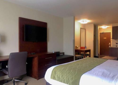 a hotel room with a bed and a desk and a television at Comfort Inn & Suites in Custer