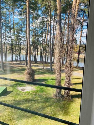 a view from a window of a park with trees at SPA Hotel in Vorzelʼ