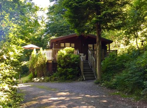 a cabin in the woods with a path leading to it at Mistletoe One Luxury Lodge with Hot Tub Windermere in Windermere