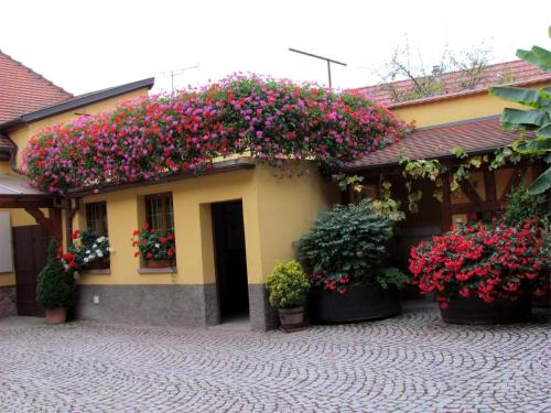 a building with flowers on the side of it at Gite Fruehmess in Itterswiller