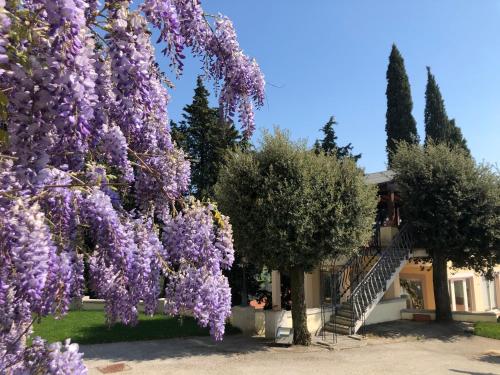Villa del Parco Resort – Photos 3