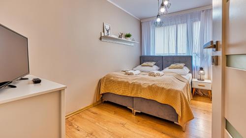 niewielka sypialnia z łóżkiem i telewizorem w obiekcie Apartament Emili - 5D Apartamenty w Szklarskiej Porębie
