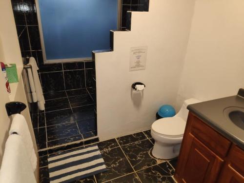 a bathroom with a toilet and a sink at Villas Casa Carlos in La Abuela