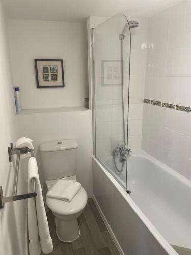 a white bathroom with a toilet and a shower at Moorhead Country Holidays in Bideford
