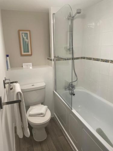 a bathroom with a toilet and a bath tub at Moorhead Country Holidays in Bideford