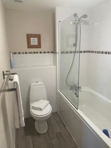 a bathroom with a shower and a toilet and a tub at Moorhead Country Holidays in Bideford