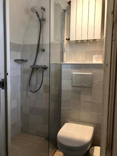 a bathroom with a shower with a toilet and a glass door at Klein Oldenburg in Bergen