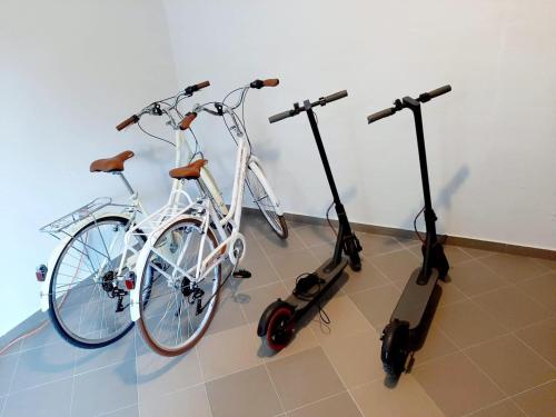 Jízda na kole v ubytování Maritimo di Cattaro****Lux Apartment with Garage nebo okolí