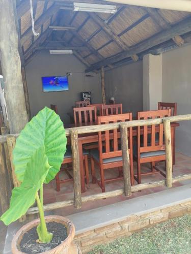 a dining room with a table and chairs and a plant at 848 Guest House in Victoria Falls