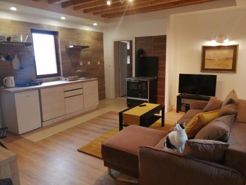 a living room with a couch and a kitchen at Mountain village in Žabljak