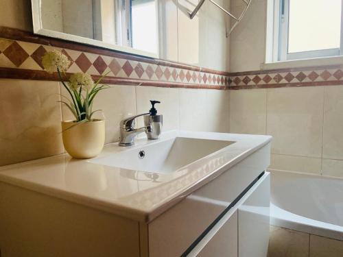 a bathroom with a sink and a vase with a plant at Apartamento Coselhas Coimbra in Coimbra