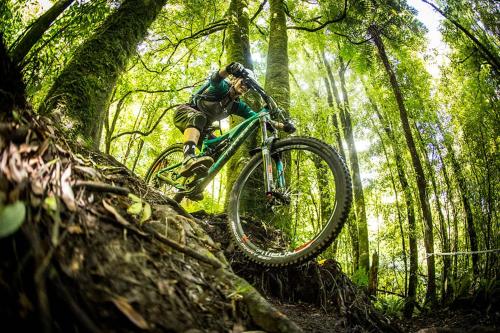 een persoon die fietst in een bos bij vakantiebungalow in Simpelveld