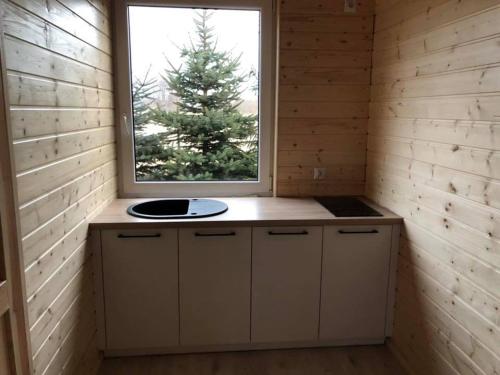 a small kitchen with a tree in the window at Roztoczańskie Chatki in Kaczórki