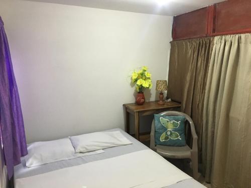a bedroom with a bed and a chair and a table at Hostel Julieta in Rivas