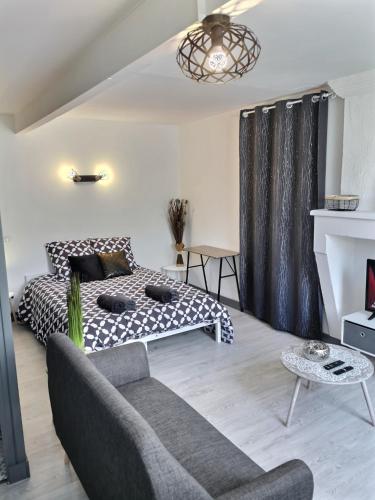 un salon avec un lit et un canapé dans l'établissement Studio ZEN Tout Confort Proche Hyper-Centre, à Cognac