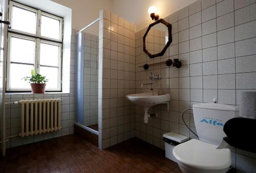 a bathroom with a toilet and a sink and a mirror at Pension Alfa & Whisky Pub in Tábor