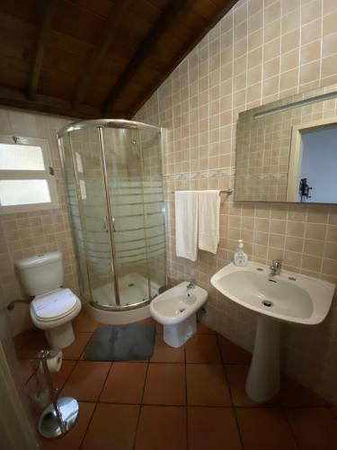 a bathroom with a toilet and a sink and a shower at Casa da Avó - Turismo Rural in Santo Espírito