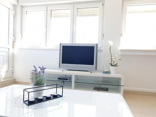 Apartment Petar