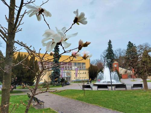 a fountain in a park with a tree with flowers at Apartman Modena Lux in Vrnjačka Banja