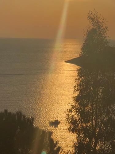 Φυσικό τοπίο κοντά σε αυτή η παραθεριστική κατοικία