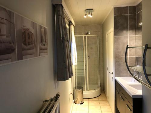 een badkamer met een douche, een toilet en een wastafel bij Hoeve de Singel in Borgloon