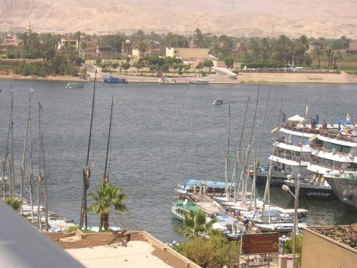 een groep boten aangemeerd in een haven bij Windsor Hotel Luxor in Luxor