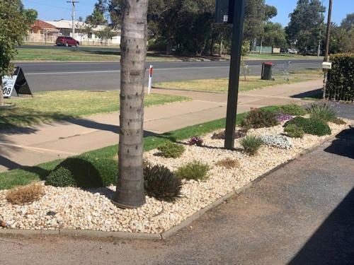 Κήπος έξω από το Vineland Motel Mildura