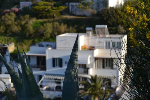 a group of white buildings with palm trees in the foreground at Casa Baia Luna in Ponza
