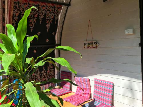 two chairs and a plant in front of a house at Baan Suanthip Homestay - Aoluek Natural Retreat in Ao Luk
