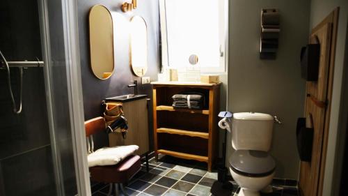 uma casa de banho com um WC e um espelho. em La Tannerie - BedinShop em Romans-sur-Isère