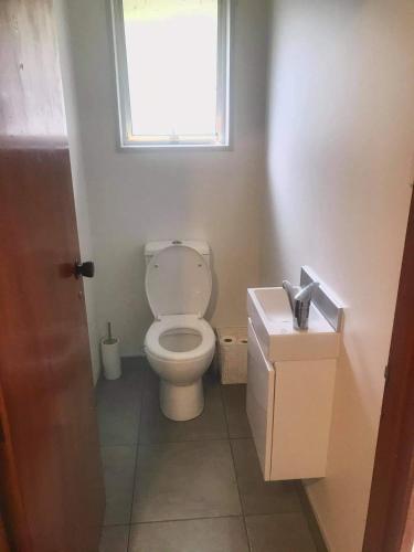 a bathroom with a toilet and a window and a sink at Harbour Side Views in Dunedin