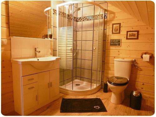 een badkamer met een douche, een toilet en een wastafel bij Gite Au Coeur Du Chalet en Belledonne vers Prapoutel Les 7 Laux in Sainte-Agnès