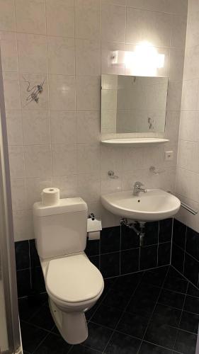 a bathroom with a white toilet and a sink at Ristorante Dosso in Sigirino