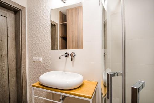 a bathroom with a sink and a shower at Apartamenty Homole in Szczawnica