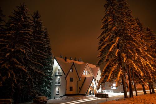 a building at night with snow covered trees at Vila ZLATARSKA PAHULJA in Nova Varoš