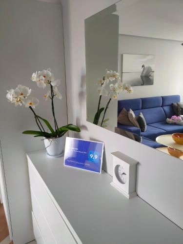 a living room with a blue couch and flowers on a counter at Apartament Augustów SWAN in Augustów