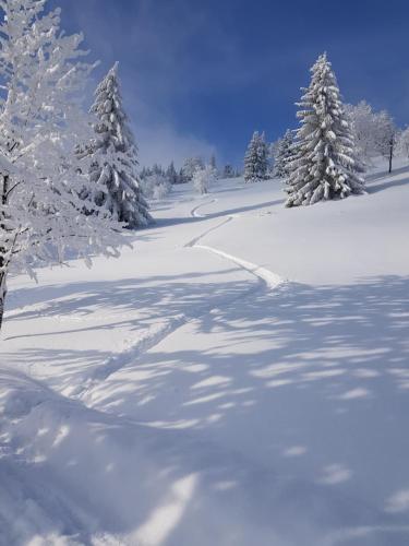 a snow covered field with trees in the background at Ferienwohnung Grenzblick in Kurort Oberwiesenthal