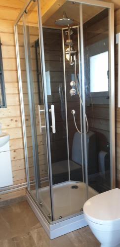 a glass shower in a bathroom with a toilet at Hvammur 4 with private hot tub (Fagurgali) in Drangsnes
