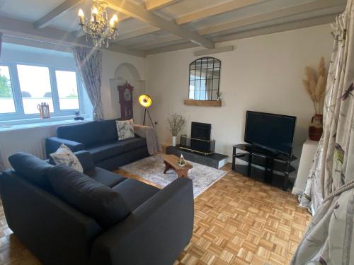 a living room with a blue couch and a television at The Cottage in Pembrokeshire