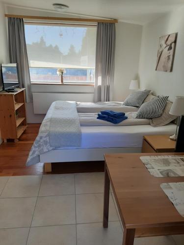 duże łóżko w pokoju z dużym oknem w obiekcie BSG Apartments w mieście Selfoss