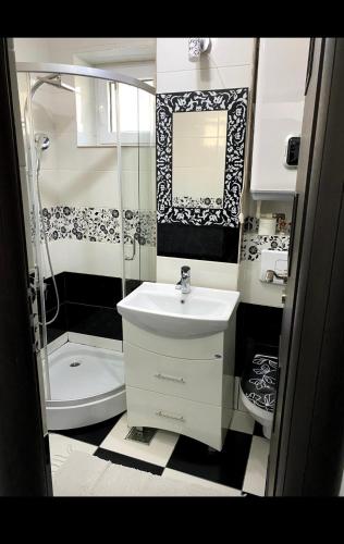 een kleine badkamer met een wastafel en een douche bij Apartament Nicolas in Brezoi