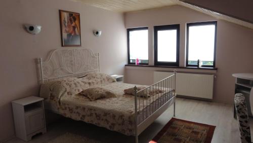 1 dormitorio con 1 cama y 2 ventanas en Vila Europa, en Sărata-Monteoru