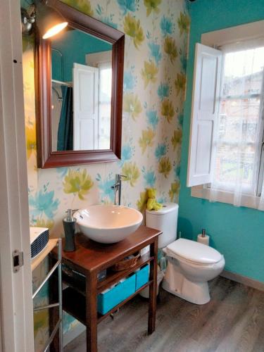 a bathroom with a sink and a toilet and a mirror at Errekaondo in Areatza