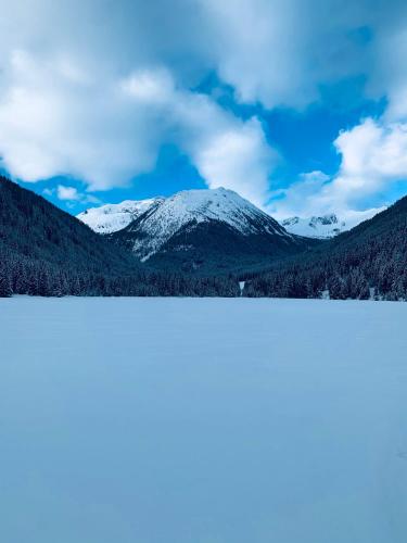 a snow covered mountain in the middle of a forest at Zirbitz Hütte mit Sauna und Kamin in Sankt Lambrecht